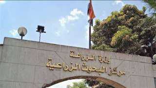 الزراعة تستعرض أنشطة وجهود معامل ومعاهد مركز البحوث الزراعية خلال أسبوع