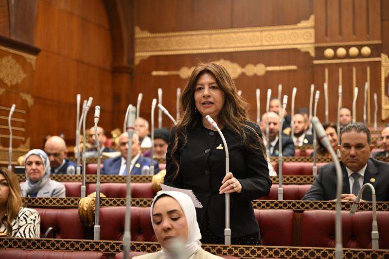 بوابة المصريين
