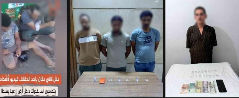 بوابة المصريين