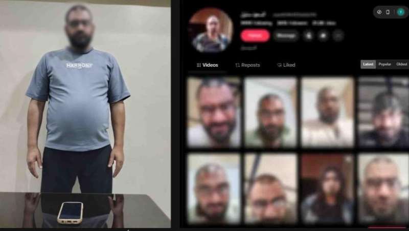 بوابة المصريين
