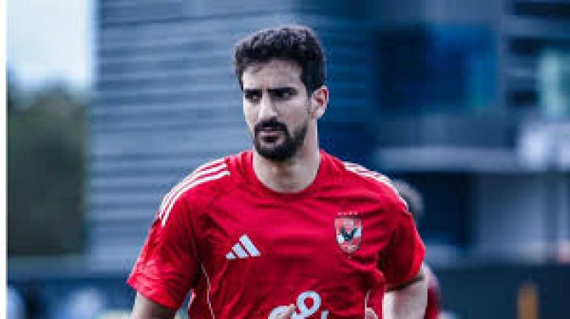 بوابة المصريين