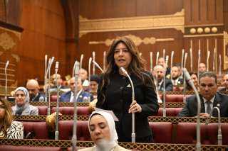 النائبة سوزي سمير: رؤية الرئيس السيسي في تنزانيا تعزز الربط التجاري واللوجستي بين مصر وشرق أفريقيا