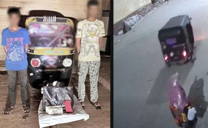 بوابة المصريين