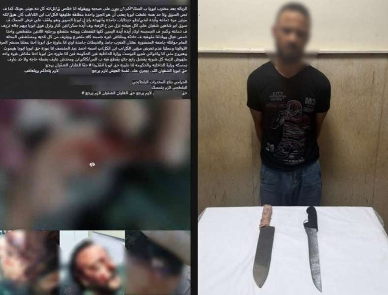 بوابة المصريين