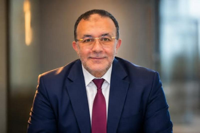 بوابة المصريين