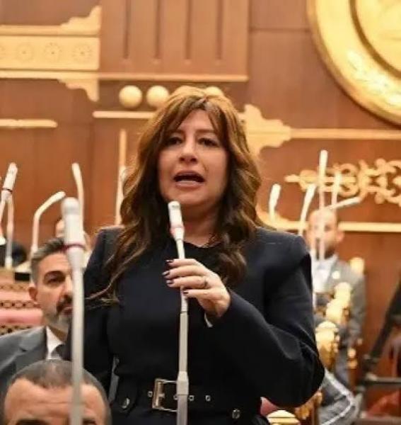 بوابة المصريين