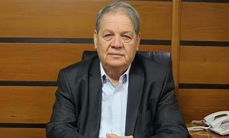 بوابة المصريين