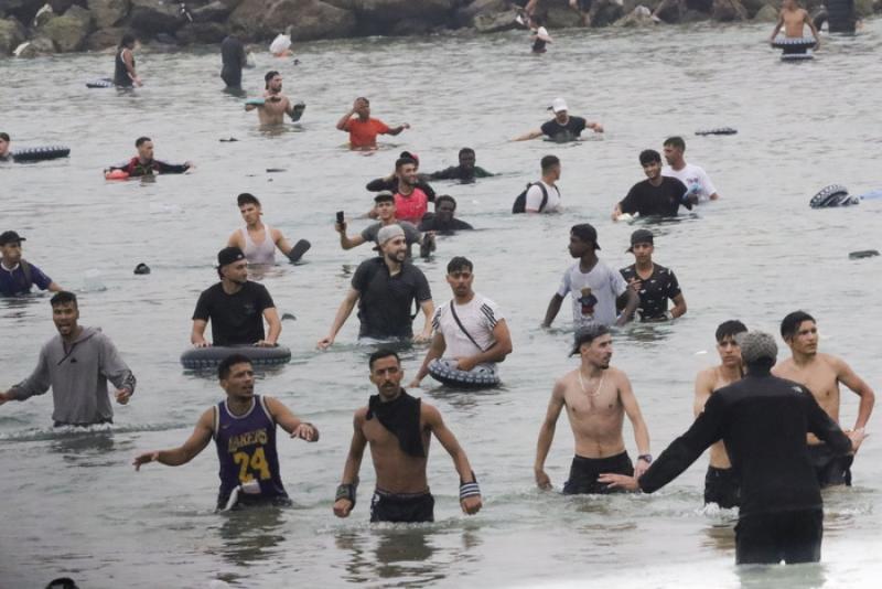 بوابة المصريين