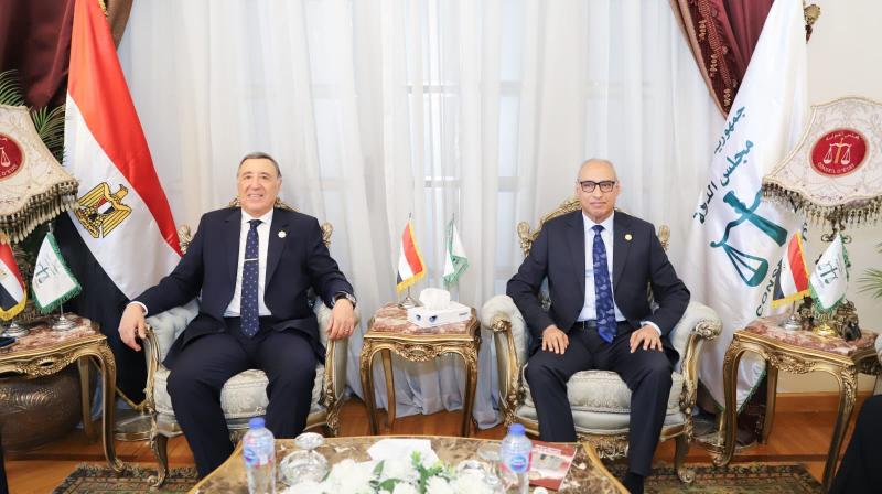 بوابة المصريين