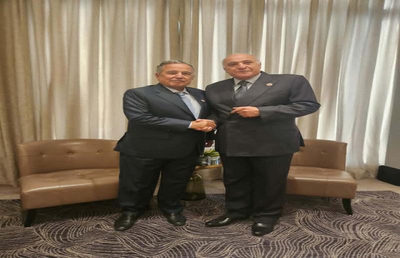 بوابة المصريين