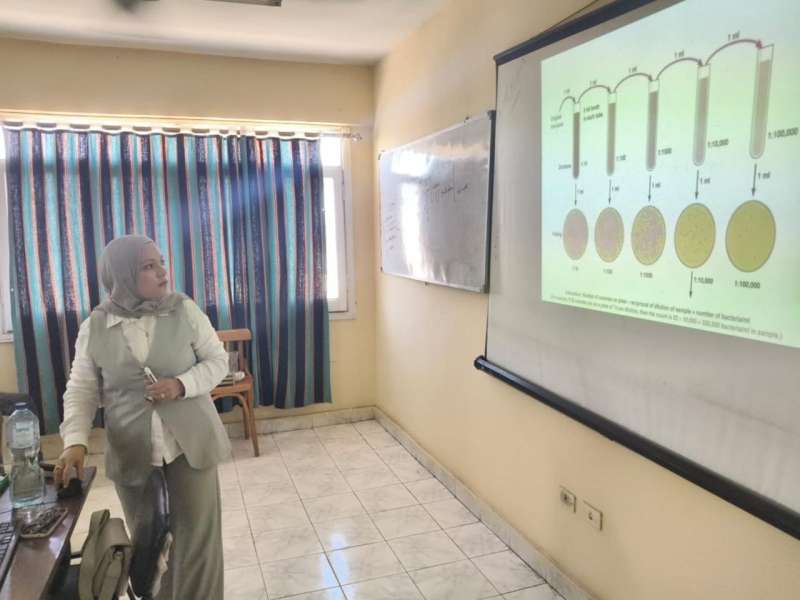 بوابة المصريين