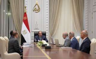 الرئيس السيسي يتابع استراتيجية التوسع في الطاقة المتجددة ويشدد على توطين الصناعات