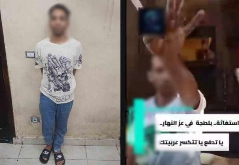 بوابة المصريين