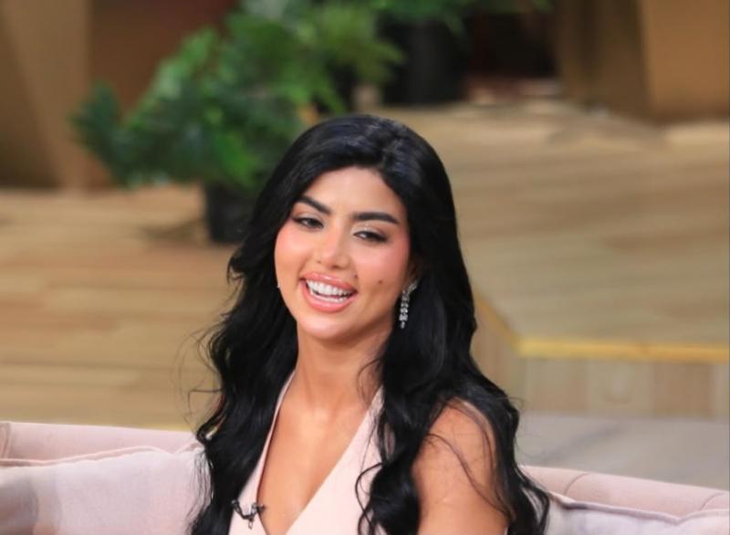 بوابة المصريين