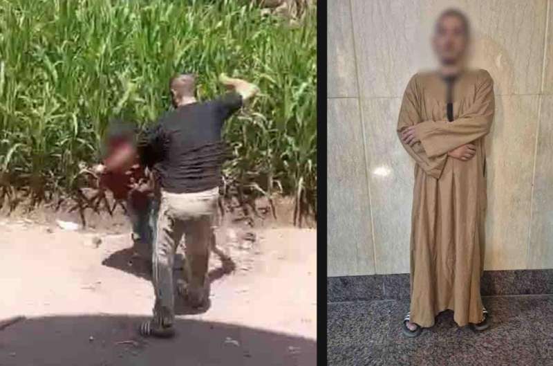 بوابة المصريين