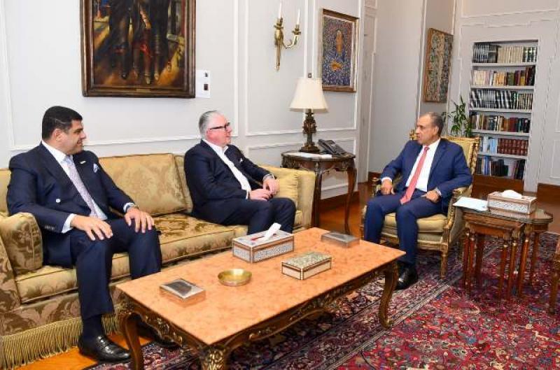 بوابة المصريين
