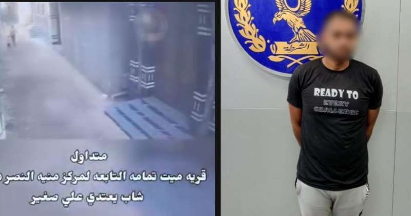 بوابة المصريين