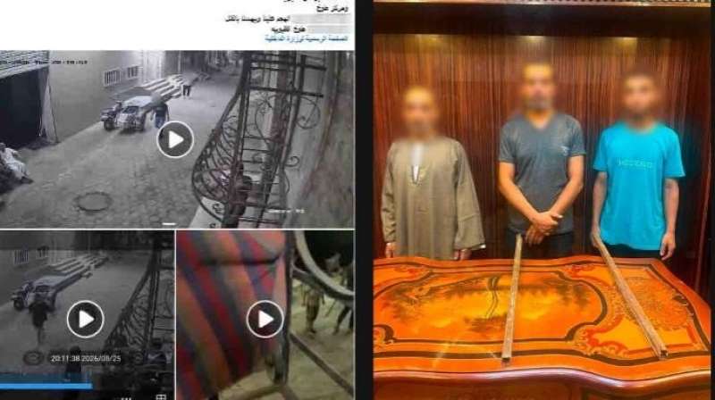 بوابة المصريين