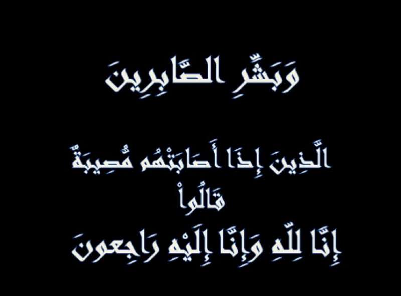 بوابة المصريين