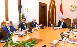 وزير الخارجية يتابع مستجدات إنشاء المنصة الإلكترونية للخدمات القنصلية للمصريين بالخارج| صور