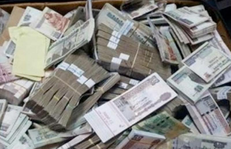 بوابة المصريين