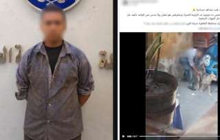 فيديو الاعتداء على كلب يكشف طفلًا يعاني اضطرابًا نفسيًا بالقاهرة