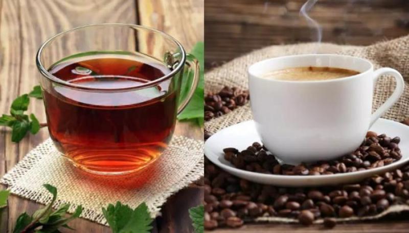 بوابة المصريين