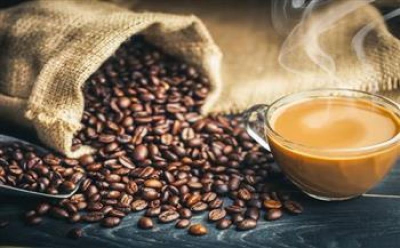 بوابة المصريين