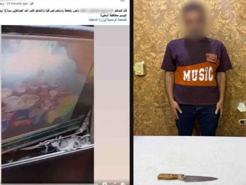 بوابة المصريين