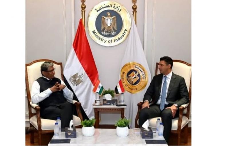 بوابة المصريين