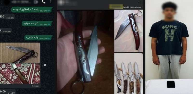 بوابة المصريين