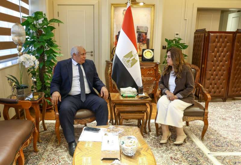بوابة المصريين