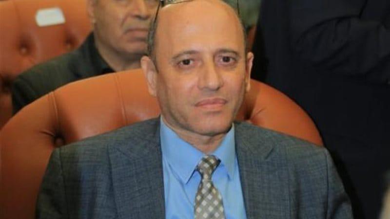 بوابة المصريين