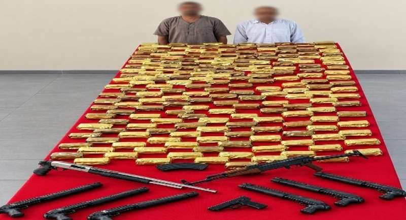 بوابة المصريين