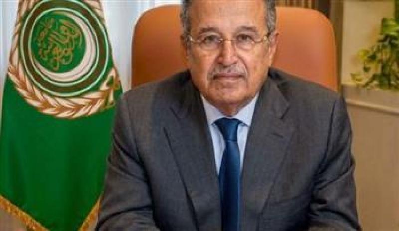 بوابة المصريين