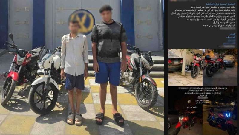بوابة المصريين