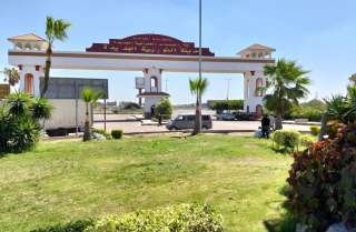 جهاز تنمية مدينة النوبارية الجديدة يعمل على زيادة معدلات التشجير بالمدينة| صور