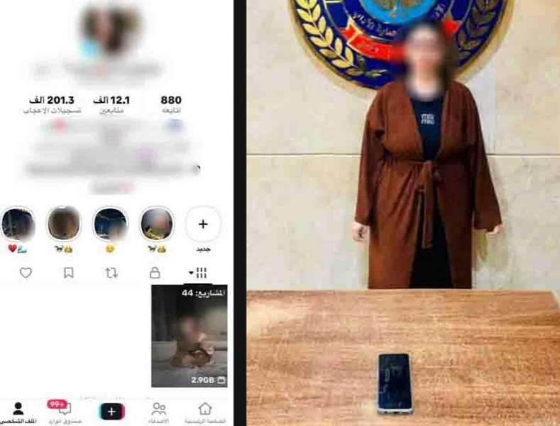 بوابة المصريين