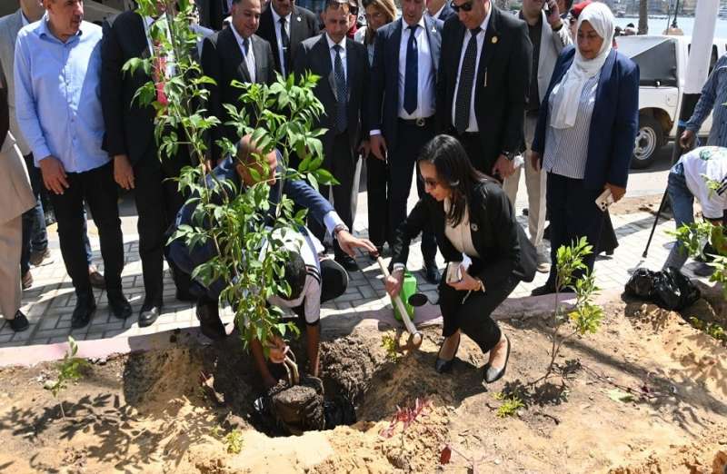 بوابة المصريين