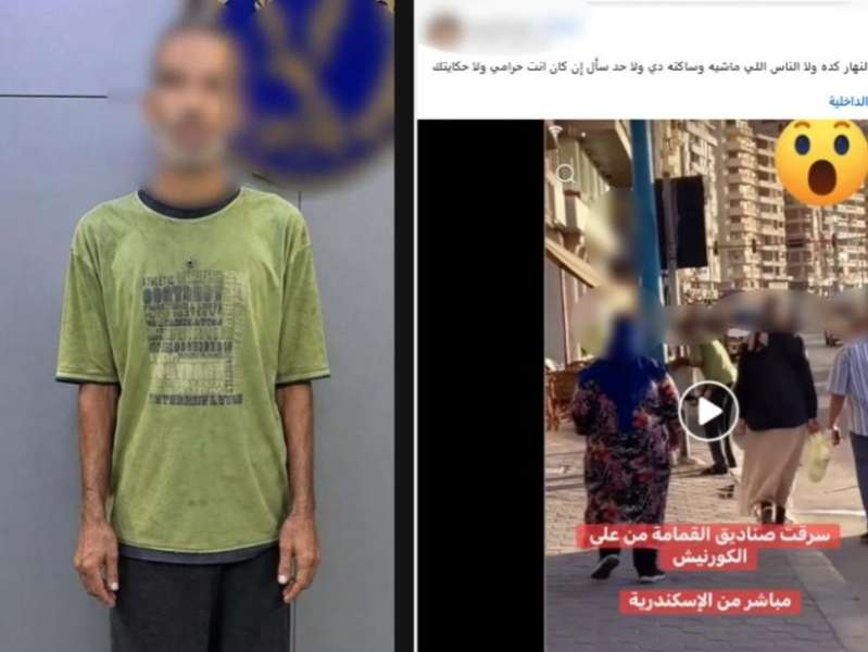 بوابة المصريين