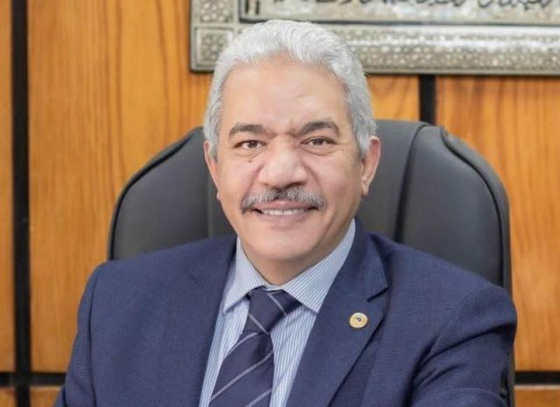 بوابة المصريين