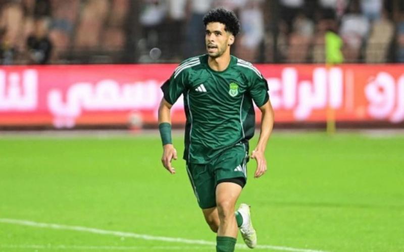 بوابة المصريين