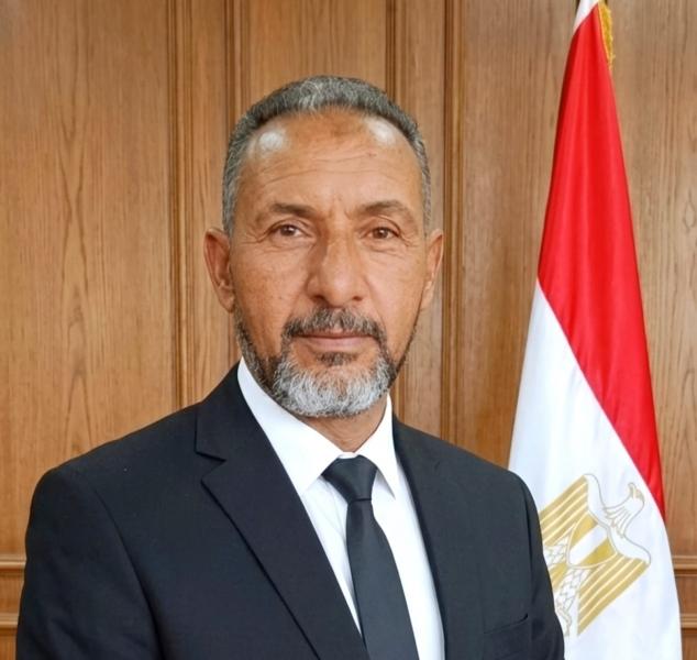 بوابة المصريين