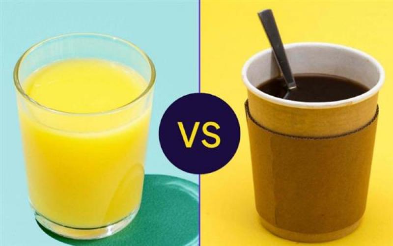بوابة المصريين