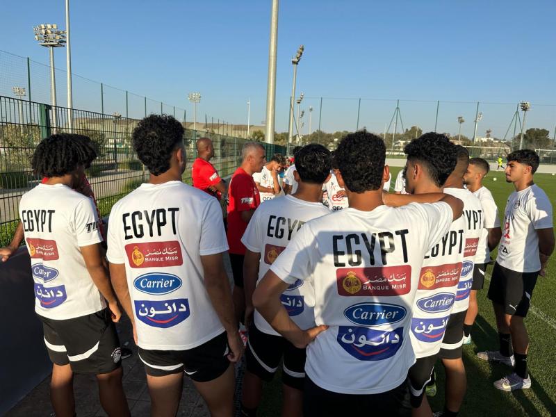 بوابة المصريين