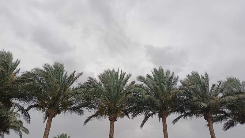 بوابة المصريين