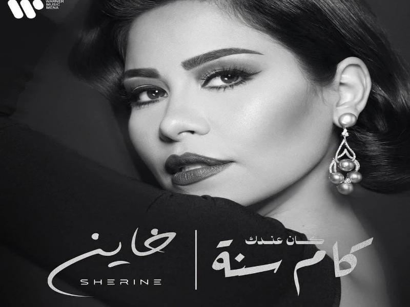 بوابة المصريين