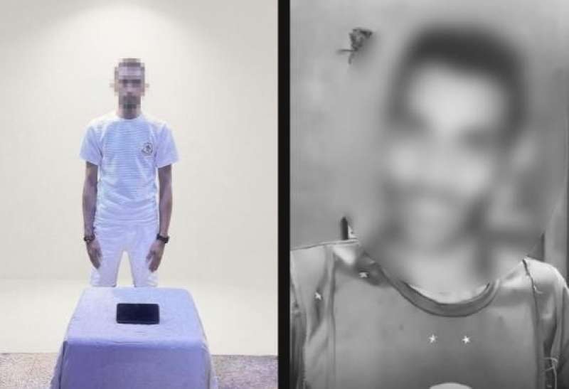 بوابة المصريين