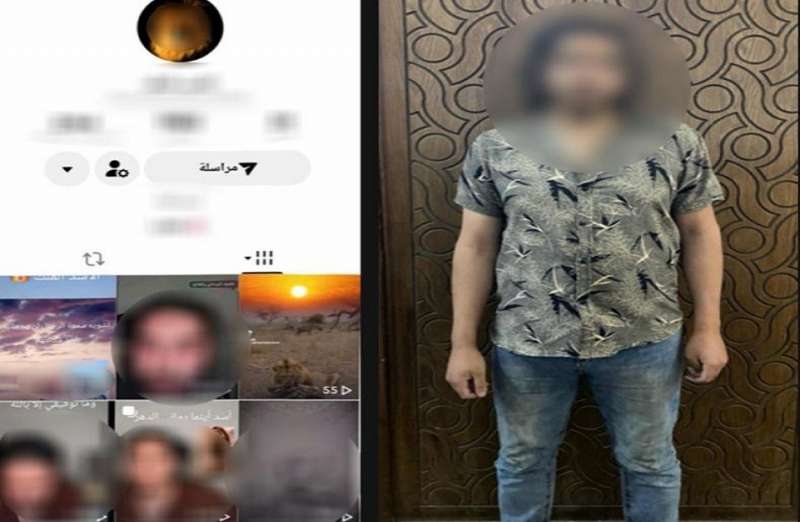 بوابة المصريين