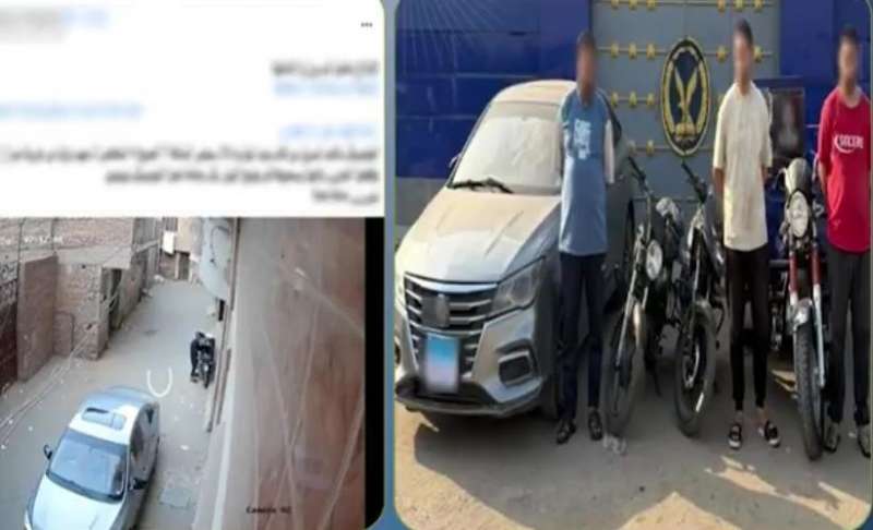 بوابة المصريين